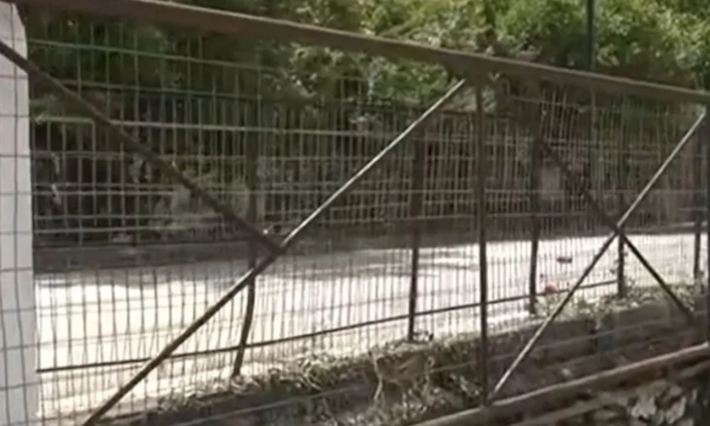 Δομοκός: «Είχαμε Άγιο, το λέω και ανατριχιάζω»- Συγκλονίζει ο πατέρας του 5χρονου που καταπλακώθηκε από πόρτα (Βίντεο)